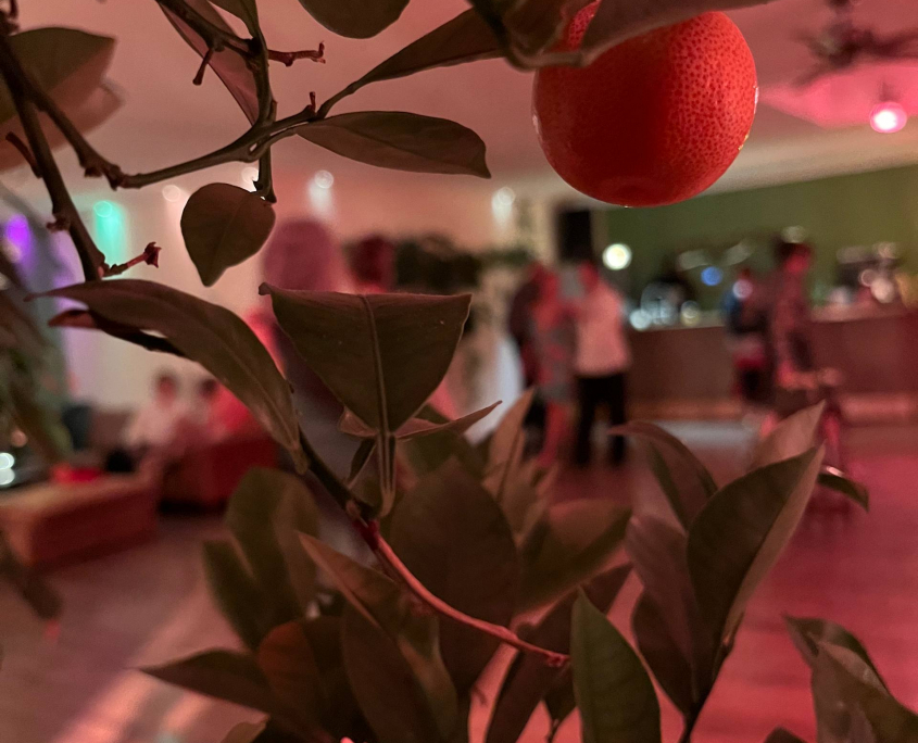bel etage Tango